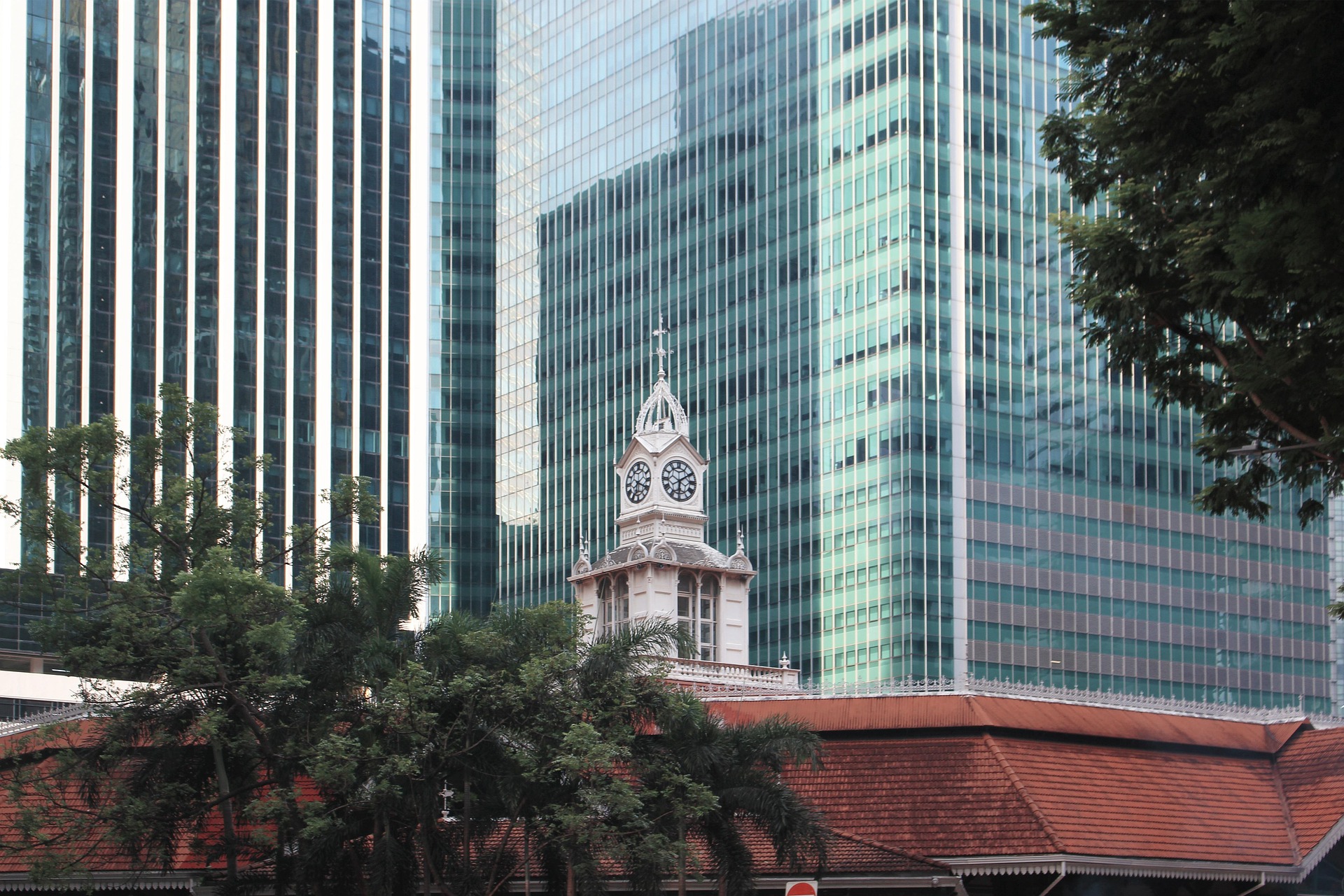 Singapore downtown office buildings with tree