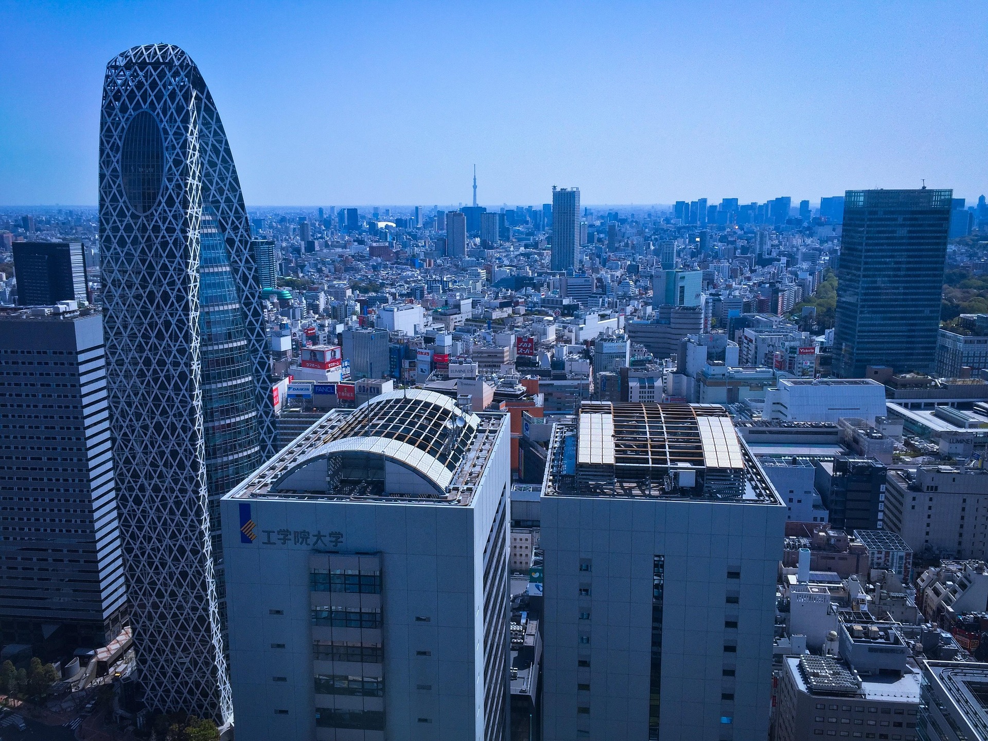 Tokyo Japan aerial view city during daylight